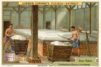 Salt: drying room, Luneburg, Germany by European School