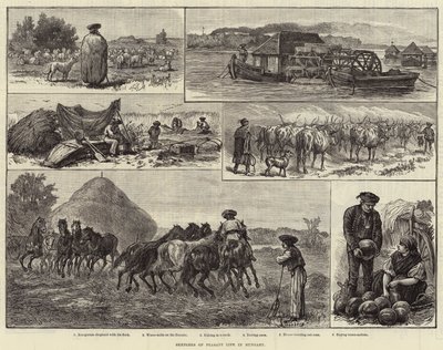 Sketches of Peasant Life in Hungary by European School