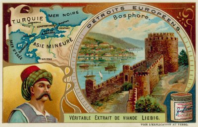 Straits on the Bosphorus by European School