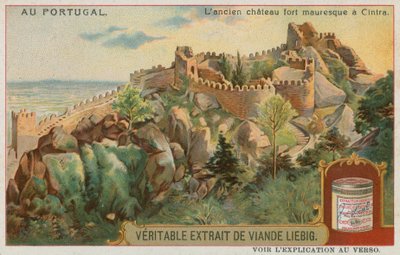 The Castle of the Moors at Sintra by European School