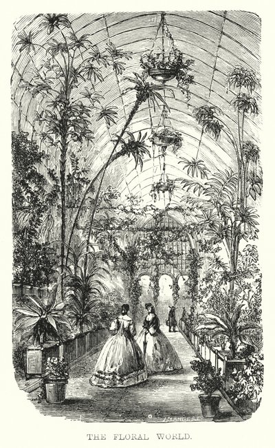 The Floral World by European School