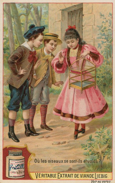 The Lost Birds by European School