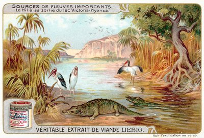 The Nile as it exits Lake Victoria by European School