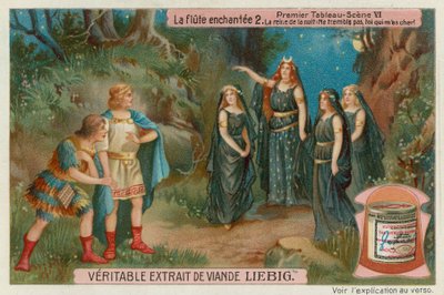The Queen of Night Meets Tamino and Papageno by European School