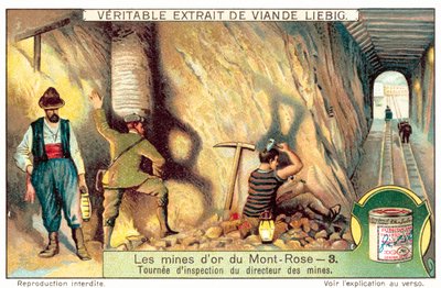 Tour of Inspection by the Director of the Monte Rosa Gold Mine by European School