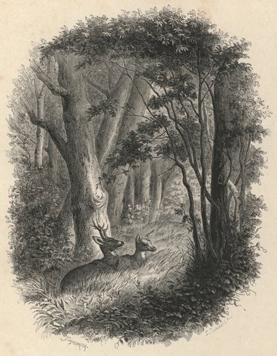 A Corner of the Forest of Fontainebleau by European School