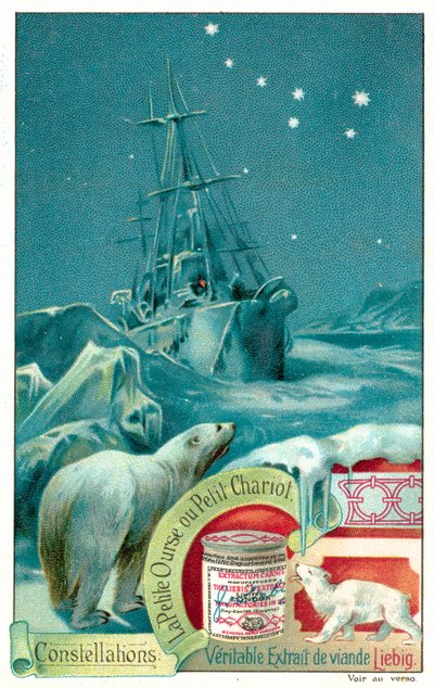 Ursa Minor by European School