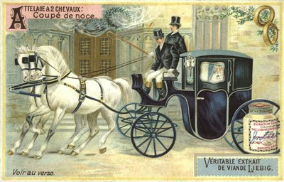 Wedding carriage by European School