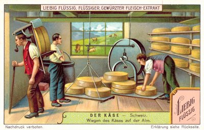 Weighing Swiss cheeses at an alpine dairy by European School