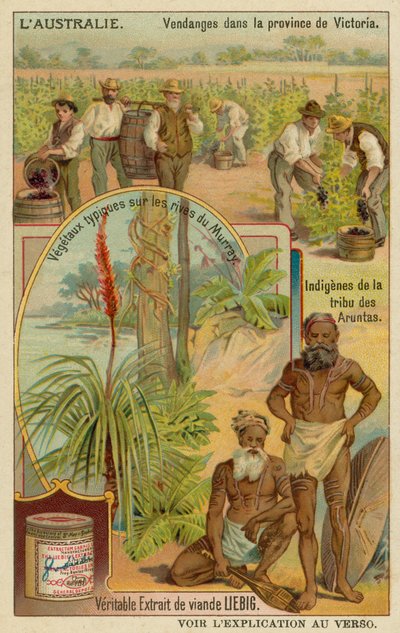 Winegrowers in Victoria, Aranda Aborigines and Typical Plants Along the Murray Riverbanks by European School