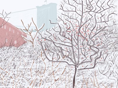 Bird In Snow, Brooklyn Bridge Park by Evan Sklar