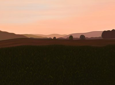 Corn Field, Hudson Valley by Evan Sklar