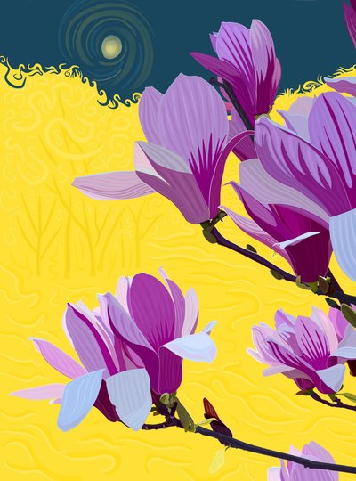 Flowering Tulip Tree by Evan Sklar