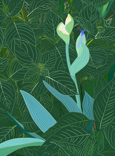 Iris and Hydrangea by Evan Sklar