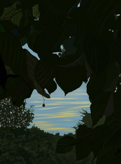 Morning Sky Through Leaves by Evan Sklar