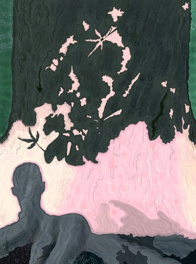 My Shadow On Tree, Brooklyn by Evan Sklar
