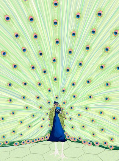 Peacock by Evan Sklar