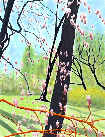 Tulip Tree by Evan Sklar