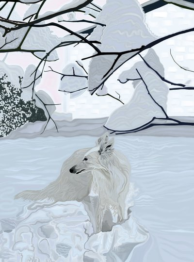 White Dog In Snow by Evan Sklar