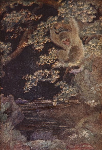 The Jellyfish and the Monkey, illustration from 