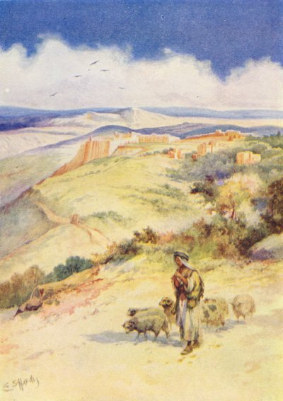 David the Shepherd Boy by Evelyn Stuart Hardy