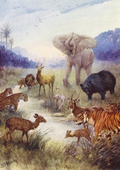 The Beasts of the Field by Evelyn Stuart Hardy