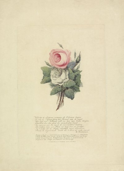Roses with Silhouettes of the Royal Family, 1816 by Evert Maaskamp
