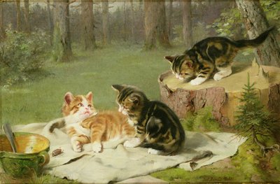 Kittens Playing by Ewald Honnef