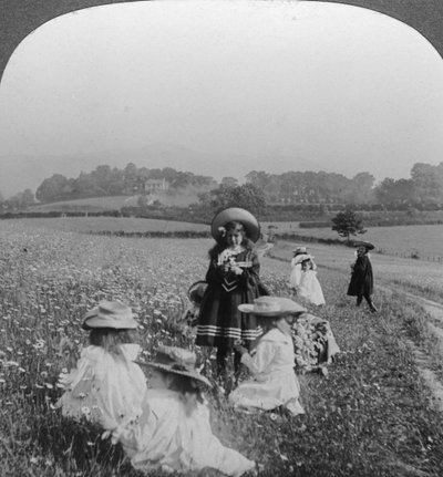 Children in a Meadow, Keswick, Cumbria by Excelsior Stereoscopic Tours