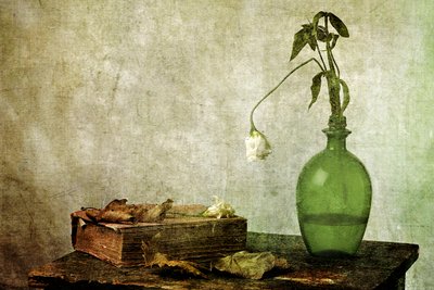 Withered Rose Old Book by Eyal Amer