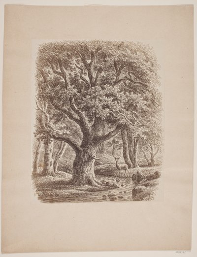 Forest Interior with a Stream and a Deer by F.C. Kiærskou