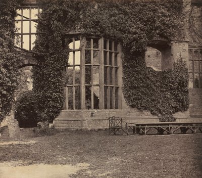 At Raglan Castle by F.D.