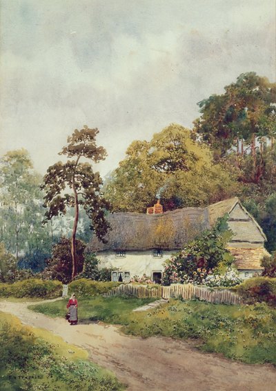 A Country Cottage by F.H. Tyndale