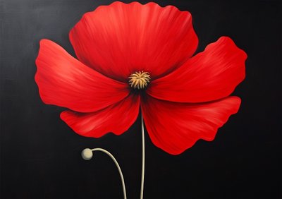 Red Hibiscus Flower by F. Abderrahim