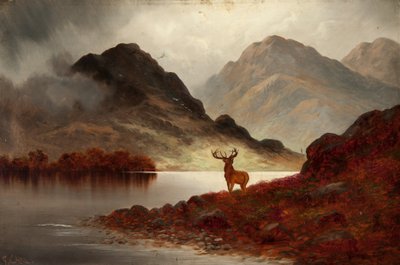 Stag at Bay by F. Carl