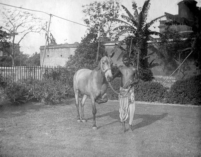 Man with a horse, Alipore, India by F. L. Peters