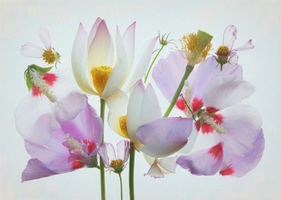 Ethereal Floral Composition by Fangping Zhou