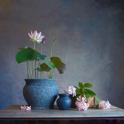 Serene Lotus Still Life by Fangping Zhou