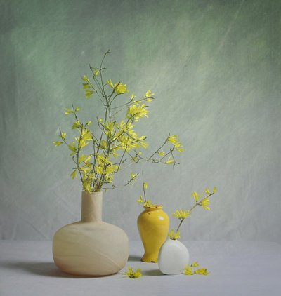 Vibrant Spring Vases by Fangping Zhou