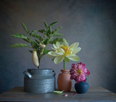 White Eggplants Dahlia Still by Fangping Zhou