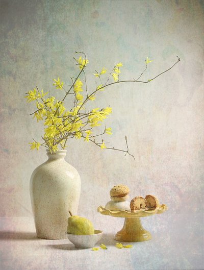 Yellow Forsythia Delights by Fangping Zhou