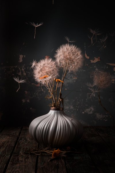 Ethereal Dandelion Still Life by Farid Kazamil