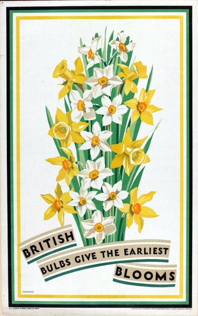 British Bulbs Give the Earliest Blooms, from the series 