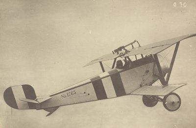 Profile of a Flying Nieuport 17 (Airplane) by Fedele Azari