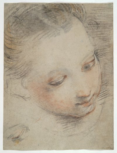 Head of a Girl, Study for a Figure in the Madonna del Popolo Altarpiece in the Uffizi by Federico Barocci