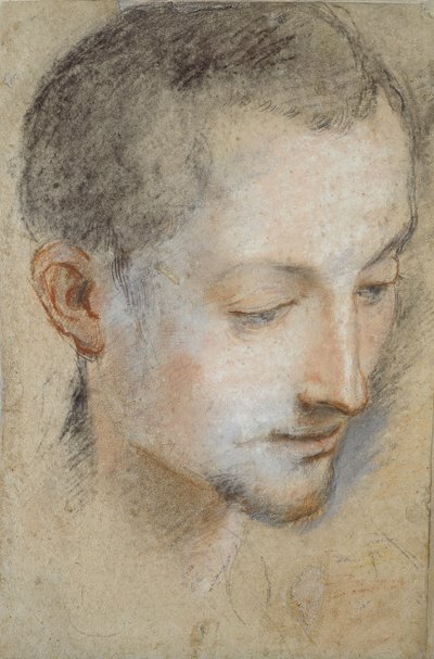 Study of a young Man