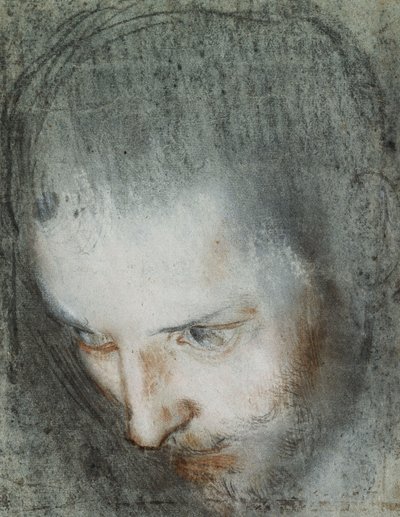 Head of Saint Francis Looking Upwards to the Left by Federico Fiori Barocci or Baroccio