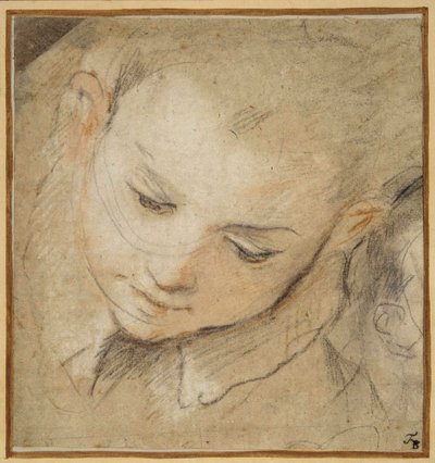 Head of a Boy Looking Down by Federico Fiori Barocci or Baroccio