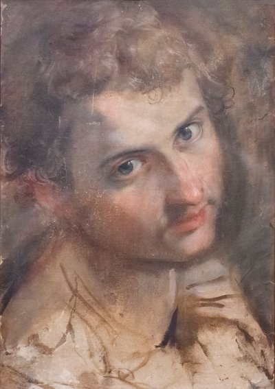 Study for the Head of St Judas by Federico Fiori Barocci or Baroccio