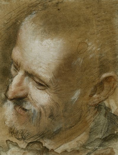 Study of the Head of a Bearded Man Turned to the Left by Federico Fiori Barocci or Baroccio